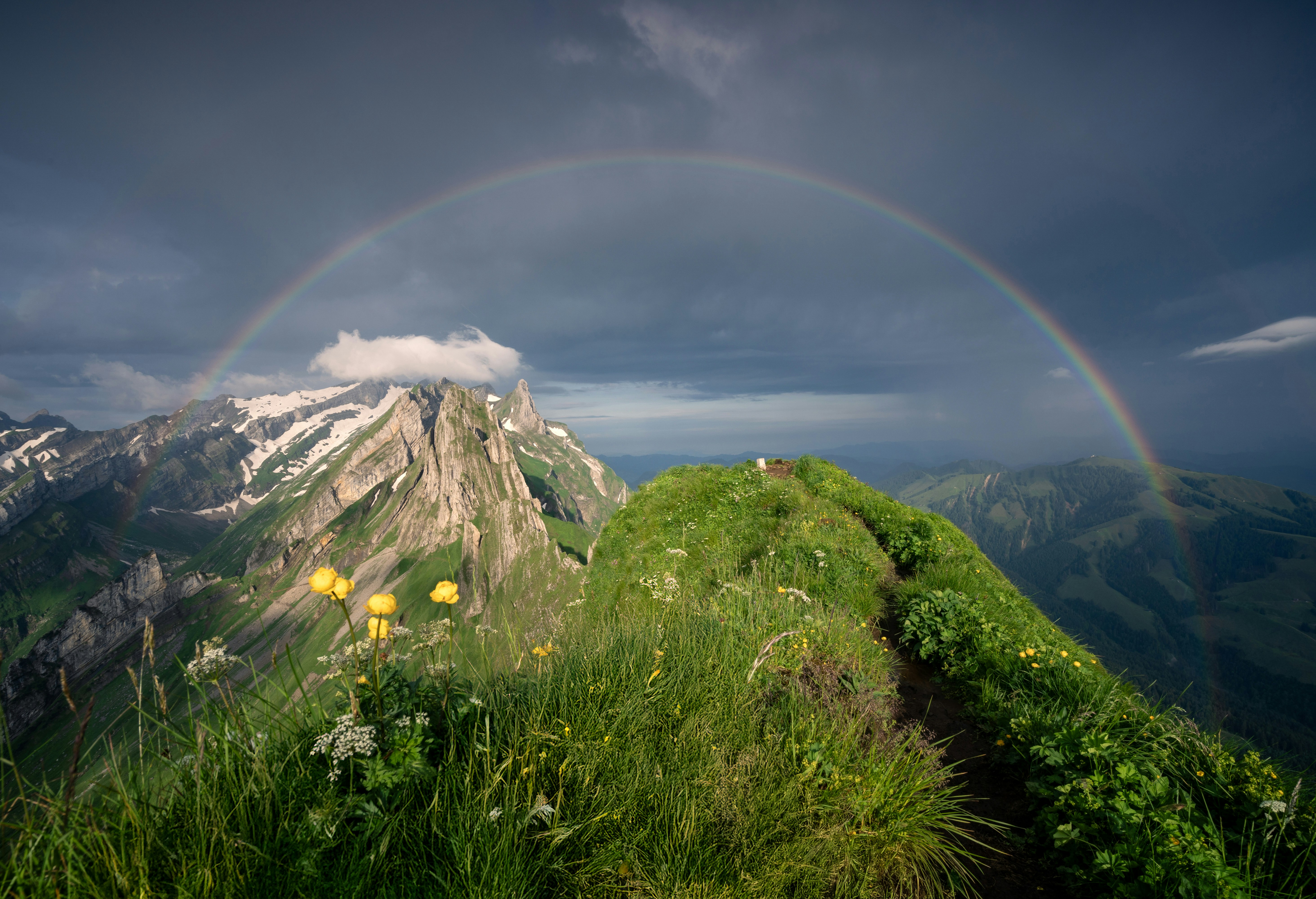 Nature