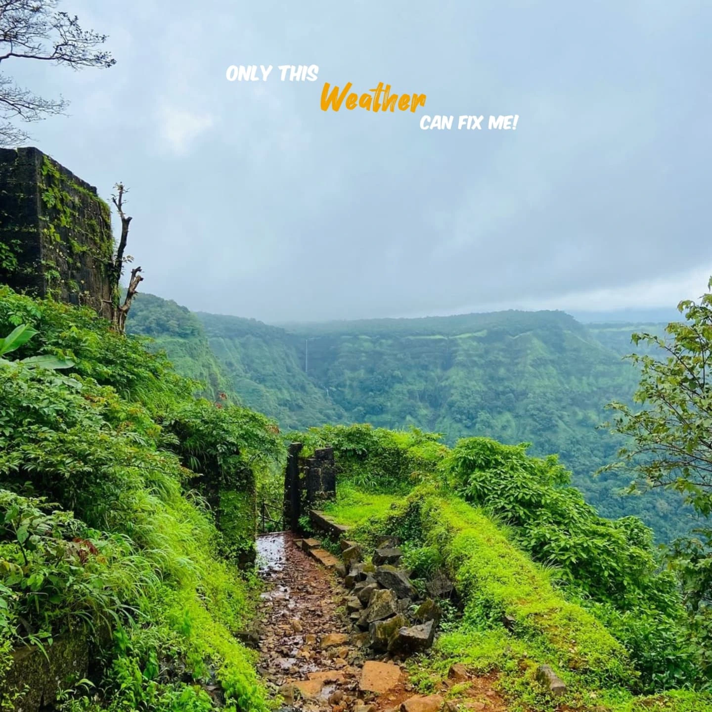 Monsoon Trekking Trail